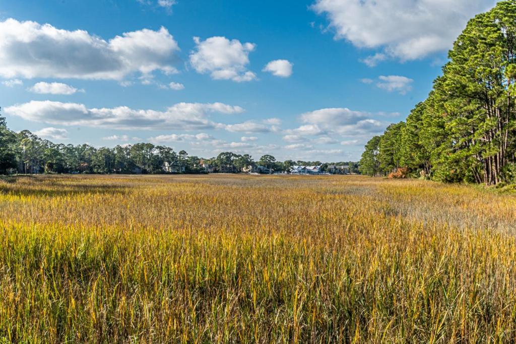 Вилла Pet Friendly! 503 Plantation Club Walk To Pool Sleeps 6 Sea Pines Хилтон-Хед-Айленд Экстерьер фото