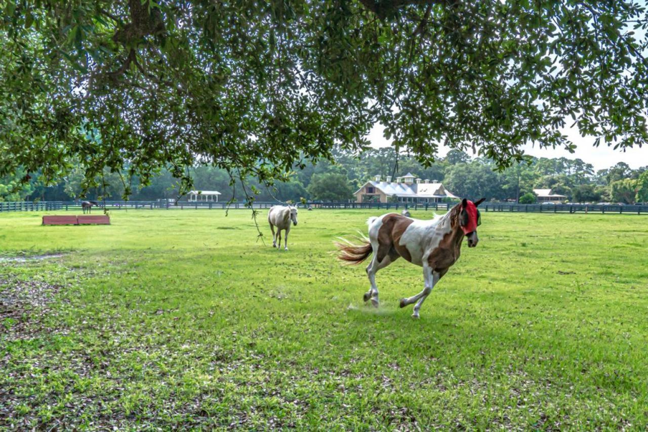 Вилла Pet Friendly! 503 Plantation Club Walk To Pool Sleeps 6 Sea Pines Хилтон-Хед-Айленд Экстерьер фото